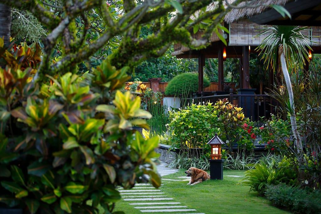 Villa L'Orange Bali Keramas Pokoj fotografie